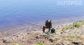Забудьте про химию из магазинов: пара капель этого аптечного средства отпугивает комаров на целую ночь