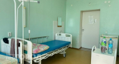 Нижегородская область оказалась одним из регионов, где люди часто болеют мышиной лихорадкой
