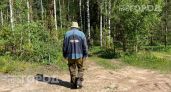 Мошка прогрызает любую одежду: копеечное аптечное средство отпугивает насекомых лучше дорогих баллончиков