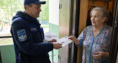 Письма голубями предложили отправлять жителям Нижегородской области
