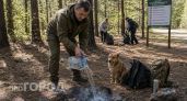 В Дзержинске с 10 июня запрещено разводить костры: штрафы до 400 тысяч