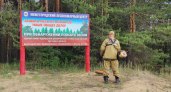 Более 3 тысяч зон отдыха оборудовали в лесах Нижегородской области