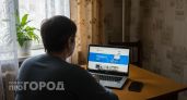 Лже-специалисты "Госуслуг" выманили у дзержинца 250 тысяч рублей