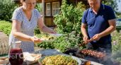 Больше никакого скучного картофеля к мясу: готовлю молодую капусту по методу который покорил всех гостей