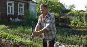 Один старый носок на палке избавит от комаров на весь вечер: простое решение для комфортного отдыха на даче