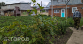 Забудьте про тяпку: смешайте всего один стакан этого средства с водой и сорняки исчезнут уже к следующему утру
