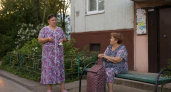 "Трава по пояс" в Дзержинске: жители улицы Горьковской требуют регулярного покоса от УК
