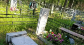 В Нижегородской области школьники разгромили 54 надгробия на кладбище ради веселья