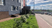Новые правила ЖКХ и спасение детей в лесу: главные новости за 28 июня