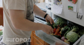 Купила в аптеке копеечное средство и забыла про гнилые овощи: теперь они остаются свежими даже через месяц