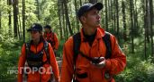 139 человек пропали в Нижегородской области за месяц