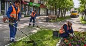 Росстат: средняя зарплата в Нижегородской области составляет свыше 83 тысячи рублей
