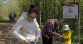 Даже новые клещи-мутанты боятся этого дешевого средства как огня: 3 пшика - и можно быть спокойным