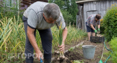 Перестала выбрасывать проросший чеснок: мой простой способ хранения позволяет овощам оставаться свежими всю зиму