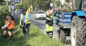 В Дзержинске продолжаются плановые работы по кронированию деревьев на улицах и проспектах