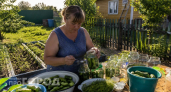 Больше не мариную обычные огурцы: этот немецкий рецепт стал фаворитом у гостей и съедается буквально за раз
