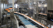 Производство пищевых продуктов в Нижегородской области выросло на 5,5 %