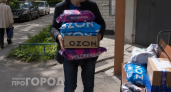 Выбросьте это из корзины прямо сейчас: три товара с Wildberries, которые принесут только разочарование