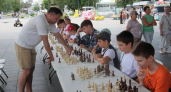 В Центральном парке Дзержинска состоялся городской шахматный фестиваль