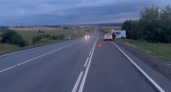 Два человека получили травмы в аварии с ГАЗелью в Нижегородской области