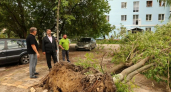 Последствия урагана в Дзержинске, новые правила в школах и дорожный рейд: главные новости за 10 августа