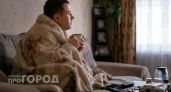 В Нижегородской области ожидают рост гриппа, COVID-19 и ОРВИ в начале сентября