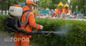 В Нижегородской области за шесть лет стало на 300 тысяч работающих больше