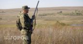 Бобров, лисиц и кабанов разрешили отстреливать в Нижегородской области