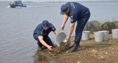 В Нижегородской области 15 сентября откроется сезон ловли раков