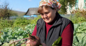 Больше не выбрасываю вялую свеклу: нашла простой способ сохранить корнеплоды сочными до самой весны