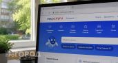 Для жителей Нижегородской области запустили специальный сервис на сайте Госуслуг