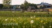 Число населенных пунктов в Нижегородской области сократилось вдвое