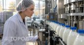 В магазинах Нижегородской области нашли партию поддельного и опасного молока