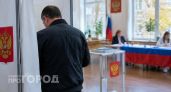 В Нижегородской области начались трехдневные выборы депутатов разного уровня