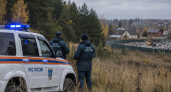 Медведи чаще выходят к людям в Сибири из-за пожаров и нехватки корма