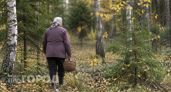  Пенсионерка из Дзержинска провела двое суток в яме с колючей проволокой
