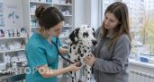 В Дзержинске против экс-учительницы завели уголовное дело за гибель породистых собак