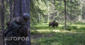 Бурый медведь вышел к жилым домам в лесах под Дзержинском