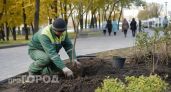 В Дзержинске зарплаты на крупных заводах выросли до 104 тысяч рублей