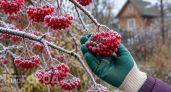 Заморозки до -4 градусов пришли в Нижегородскую область