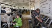 В Нижегородской области развернут молочные мегафермы по стандартам Минска