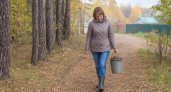 Сосновые шишки тащу из леса охапками: бесплатная находка заменяет гору покупных материалов