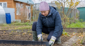 Не сколачиваю грядки заново каждую весну: бортики с Ozon переживают сезоны без гнили и трещин