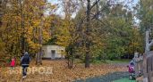 В Нижегородской области побит сорокалетний рекорд тепла на фоне аномалии