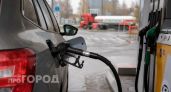 Лимит в 40 литров на "Лукойле" оставили даже после исчезновения дефицита бензина