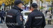 В Нижегородской области с помощью беспилотника задержали беглеца из межгосударственного розыска