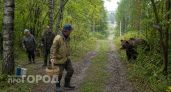 В Нижегородской области медведи вплотную подошли к озерам и городским тропам здоровья