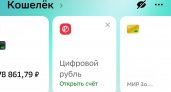 Жители Нижегородской области обнаружили в онлайн-банках цифровые кошельки