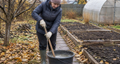 Разбавляю 5 мл дешевого средства в литре воды и заменяю 100 кг навоза: простой трюк молниеносного компоста