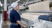 В ОЭЗ "Кулибин" построят завод стройматериалов за 321 миллион рублей